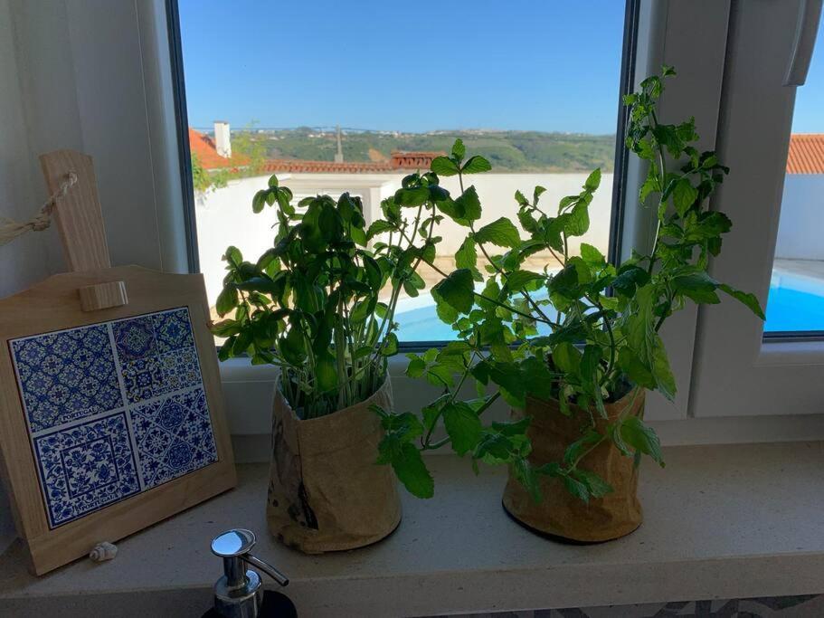 فيلا Joia Da Casa House With Private Pool Sobral  المظهر الخارجي الصورة