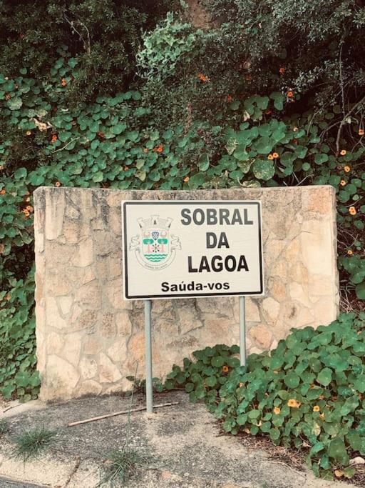 فيلا Joia Da Casa House With Private Pool Sobral  المظهر الخارجي الصورة