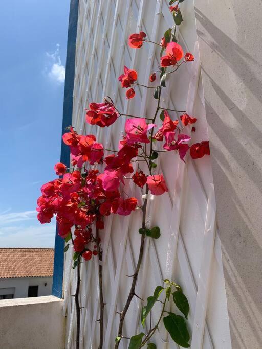 فيلا Joia Da Casa House With Private Pool Sobral  المظهر الخارجي الصورة